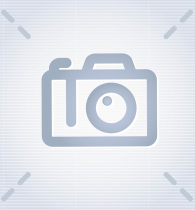 Foreigners and Nationality Law